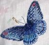 IMG_1303.thumb.JPG.4745b3c549e0734bc8747c9ac490b333.JPG