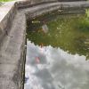 IMG_20210522_150630.thumb.jpg.5896b7f20269a8ba8c0926a351cf6402.jpg