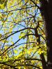 IMG_20210928_131524.thumb.jpg.a91cc33bbba927c1f1503a8e28adb7ae.jpg