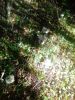 IMG_20210929_154206.thumb.jpg.24bb90efa18b2ba4a3d7b44d862c2f26.jpg