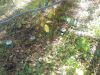 IMG_20210929_154235.thumb.jpg.336dac5f32cc31f2b9a8990b8cf4f731.jpg