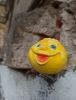 IMG_20211001_172124.thumb.jpg.865f150b2e222d18b9627ca62d98f86c.jpg