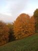IMG_20211001_172903.thumb.jpg.63e9b2d03a46fe674746c8b8d2d32c67.jpg