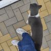 IMG_20211003_075820.thumb.jpg.73f688e80bfc437e60e2d0db0842cb00.jpg