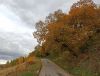 IMG_20211003_140925.thumb.jpg.0629a98083de385d270e25f6106ddefc.jpg