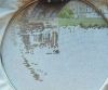 IMG_20211004_115535.thumb.jpg.0ea53c3210e250b434cbcf31d9ae60ce.jpg