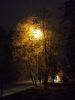 IMG_20211004_224156.thumb.jpg.5b0927e030dcd85bbbf9ee7da7adcf35.jpg