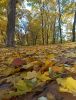 IMG_20211005_124945.thumb.jpg.64af3c2cfa47a71d1fcf29578a9246ed.jpg