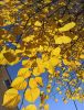 IMG_20211005_130715.thumb.jpg.c9899c9648939895999a3e15212764ff.jpg