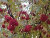 IMG_20211005_135744_compress2.thumb.jpg.9fb02514a6bdd3d4b06d9250ccd2ecd8.jpg