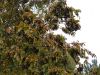 IMG_20211010_115502.thumb.jpg.6db5d1273fab3e6be32fb9d2758e46ca.jpg