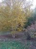IMG_20211010_120022.thumb.jpg.e9ce6da642f11039a35e4c32b4b139b8.jpg