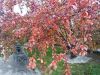IMG_20211010_120216.thumb.jpg.efc62cb3062eed0a577d907aa67e4614.jpg