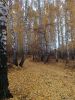 IMG_20211010_131558.thumb.jpg.4ee34aa6e5c98a9f8bc134daeeea01b4.jpg