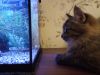 IMG_20211010_232007.thumb.jpg.18869fce37fcb461499e129097a1e326.jpg