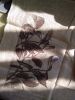 IMG_20211011_140532.thumb.jpg.0d17bf7484d9f2c7ea76aebff50a51dc.jpg