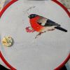 IMG_20211015_153201.thumb.jpg.df6b97d102bdb188fa00b0593a47a72c.jpg