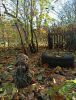 IMG_20211016_142307.thumb.jpg.d691561775508fbc814941cf8725d1fc.jpg