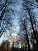 IMG_20211018_165145.thumb.jpg.27e90b54df819d115f53da2cdf122251.jpg