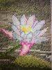 IMG_20211022_024317.thumb.jpg.a8209470710dcecf93a72c3af24adfba.jpg