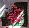 IMG_20211025_005743.jpg