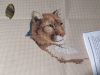 IMG_20211026_172019.thumb.jpg.9fee239bb6424c780a53dac9f4f31e5d.jpg