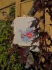 IMG_20211031_120943.thumb.jpg.7eab6d4631b2f9bd6f5c50c9b61bc451.jpg