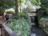 Kelsey_Park_Waterfall.thumb.jpg.bf82dd780748fa7a76711676cc3dcb5b.jpg