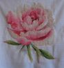 Peony8.JPG.ced723e8f5c9dab0c1bef15d113de18a.thumb.jpg.36790dad080c7afe3b7e99c303e7a4de.jpg