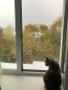 image-11-10-21-11-18-12.thumb.jpeg.b9a340eadba3087e1507bc4c45663708.jpeg