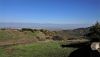 1202675752_42.thumb.JPG.d41918b178c8fff8fd660e4811cdde0f.JPG