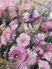 181642818_10.thumb.jpg.91c2dd4e7202700f62e914f3cc03655a.jpg