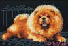 19752.thumb.jpg.d96d563051d27a06f732c9e18a941bb5.jpg