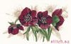 Lanarte 21206, Helleborus