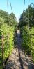 20210815_175439.thumb.jpg.668d2efe55fada3dd956065ba71f39be.jpg