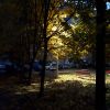 20211013_061959.thumb.jpg.5fd55ce05b6818500805ed3a9cf73560.jpg