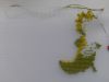20211015_122420.thumb.jpg.ae4ea3126ef591f29cf7762ba31a3cb0.jpg