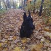 20211016_074753.thumb.jpg.1ee8cb9a819a18b49f152dd7097c2e1e.jpg