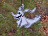 20211027_091423.thumb.jpg.cee5dbf847ecf25be662ede9f5666b12.jpg