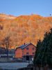 20211029_093346.thumb.jpg.ff44667f5c278f6529b0c1015681c442.jpg