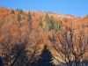 20211029_093546.thumb.jpg.e17c564c9ae9779b787cdacf080c731a.jpg