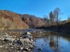 20211031_135120.thumb.jpg.4ddf6be54a30ca65b232cdada38f94f6.jpg