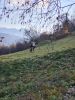 20211101_144759.thumb.jpg.bbfb355ed1914ca94eb397a5bf7fbe8f.jpg