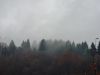 20211105_151056.thumb.jpg.b12f57766d47ae470cbb24c1649398ed.jpg