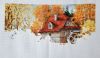 20211107_041649.thumb.jpg.cb2be3dd47e53947d2afe2d65c73a07f.jpg