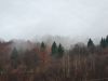 20211107_075747.thumb.jpg.cadff9988708f696dfb1360c9954d1e8.jpg