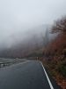 20211107_161736.thumb.jpg.5a55a60a284002f425401f353bc6893c.jpg