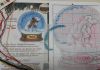 2050312197_.thumb.jpg.d4cc312a19c09b33065a9c4cdc4e354e.jpg