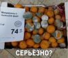 248038054_27.thumb.jpg.6f3d49ca47af30b875a4acaff1a87ecf.jpg