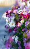 3D2706AF-1D3D-487A-8A69-E375E8190042.thumb.jpeg.a2055d23900f717b6d5ec377a0ea8113.jpeg